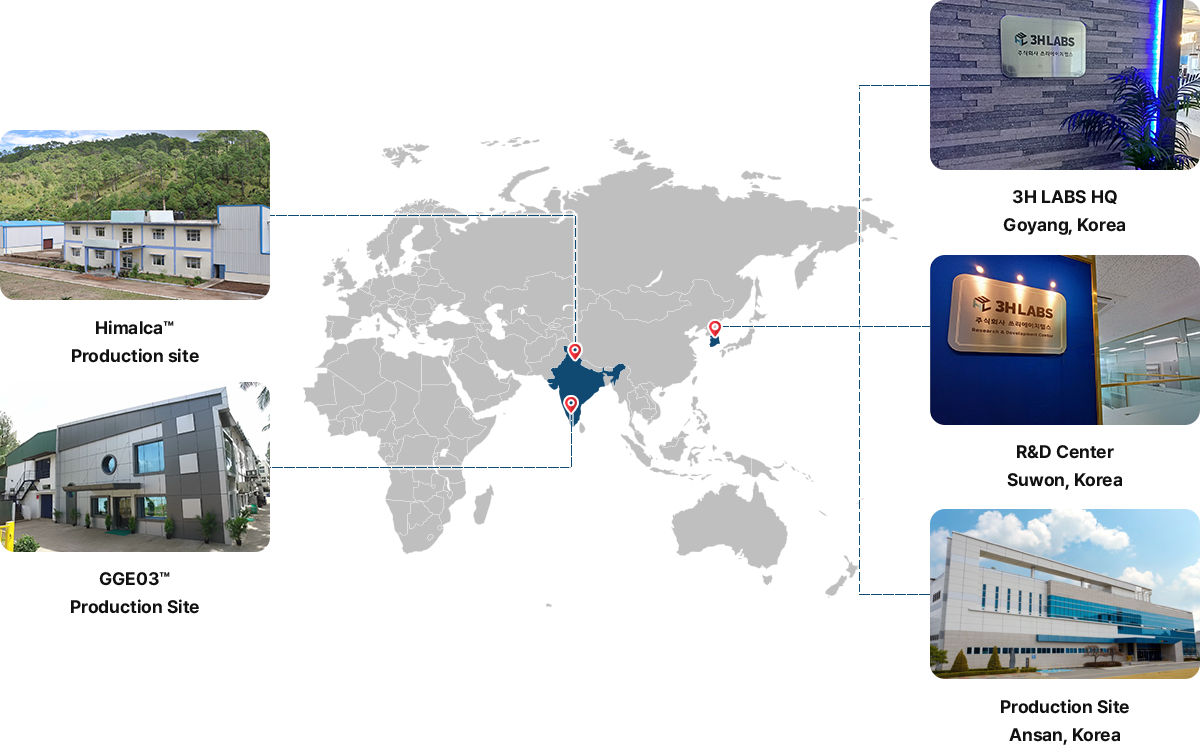 Global presence and Production Site